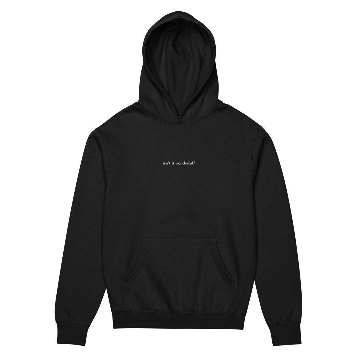 isn't it wonderful? hoodie