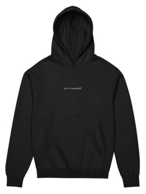 isn't it wonderful? hoodie